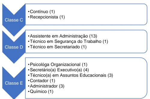 Figura 10 - Classes e cargos identificados na pesquisa 