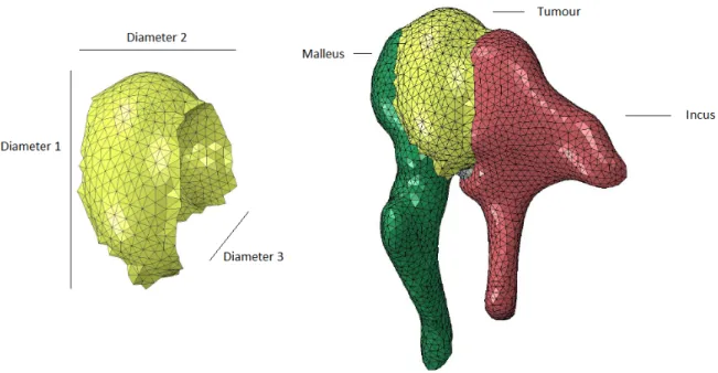Figure 3.7: Small tumor finite element mesh. Left - small tumour, right - small tumour in its position in the ossicular chain