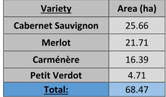Table 1. Summary of the area under vine in Clos Apalta vineyards, in hectares. 