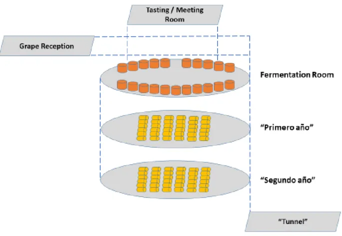 Figure 5. Schematic representation of the 6 levels of the winery. 