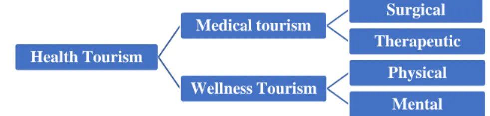 Figure 2.1.1.1 – Types of health tourism 