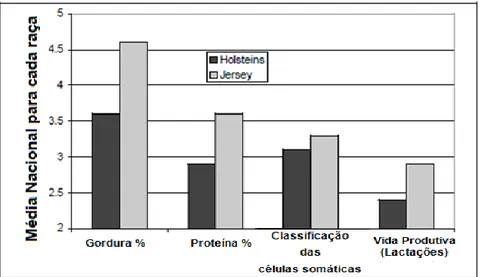 Figura 1: Comparação entre as raças Holstein Frísia e Jersey para gordura, proteína,  contagem das células somáticas e vida produtiva nos EUA (Caraviello, 2004)