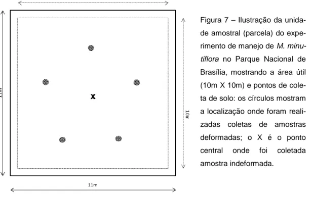 Figura 7 – Ilustração da unida- unida-de amostral (parcela) do  expe-rimento de manejo de M