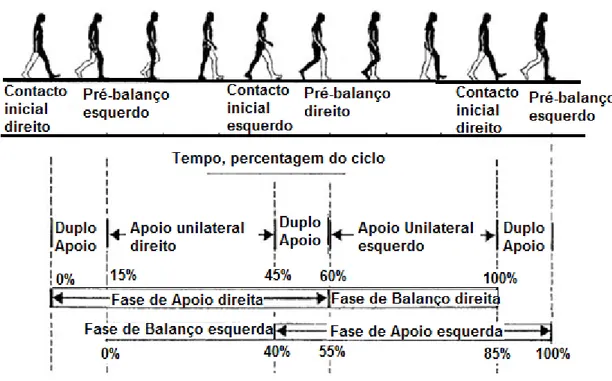 Figura 1 - Tempo e percentagem das fases de apoio e balanço na Marcha (Adaptado de   Williams e Wilkins, 1981)