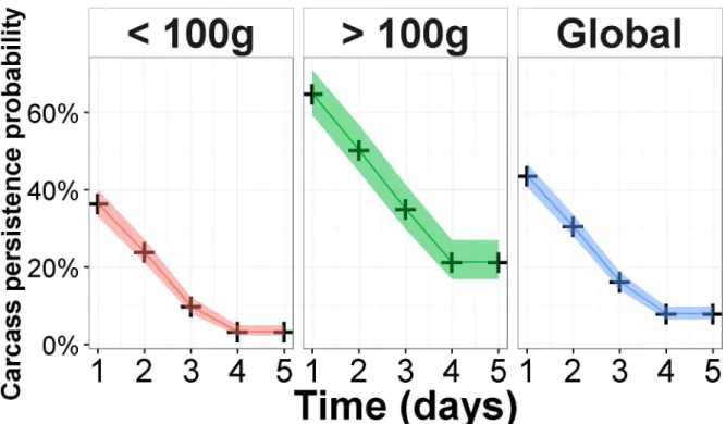 Fig 2. Survival curves from Kaplan-Meier models and corresponding 95% confidence intervals for global data, and body mass classes.