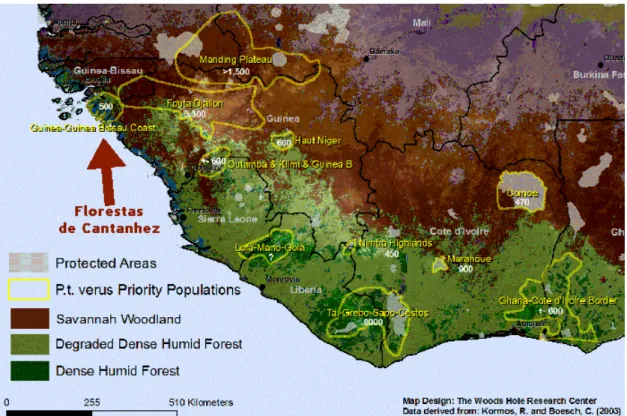 Figura 2 –  Áreas estabelecidas como prioritárias para a conservação do chimpanzé  na África  Ocidental (adaptado de Kormos &amp; Boeach 2003)