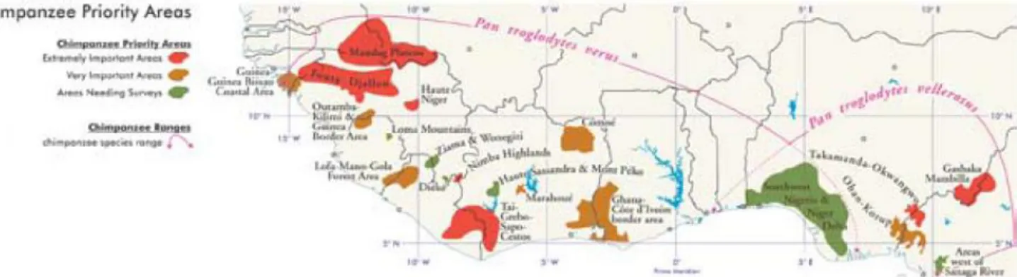 Figura 2. – Áreas Prioritárias para a conservação de Pan troglodytes verus e Pan troglodytes vellerosus  segundo o Plano Regional para a Conservação do Chimpanzé na África Ocidental (adaptado de Kormos &amp; 