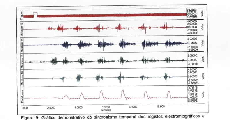 Figura 9: Gráfico demonstrativo do sincronismo temporal dos registos electromiográficos e  dinamométricos