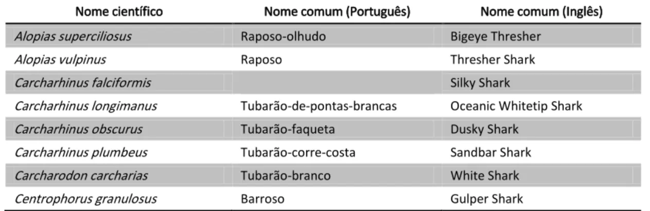 Tabela 2. Espécies de tubarões existentes na costa portuguesa (Portugal continental e Ilha da Madeira), por ordem  de nome científico, com os nomes comuns aceites em Português  (Sanches, 1986) e em Inglês  (Compagno  et al .,  2005) 