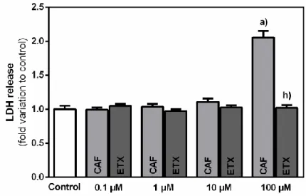 Figure 11 – Released lactate dehydrogenase (LDH) by 3T3-L1 preadipocytes after 24 h incubation with  increasing  concentrations  of  caffeine  (CAF)  or  8-(3-phenylpropyl)-1,3,7-triethylxanthine  (ETX)