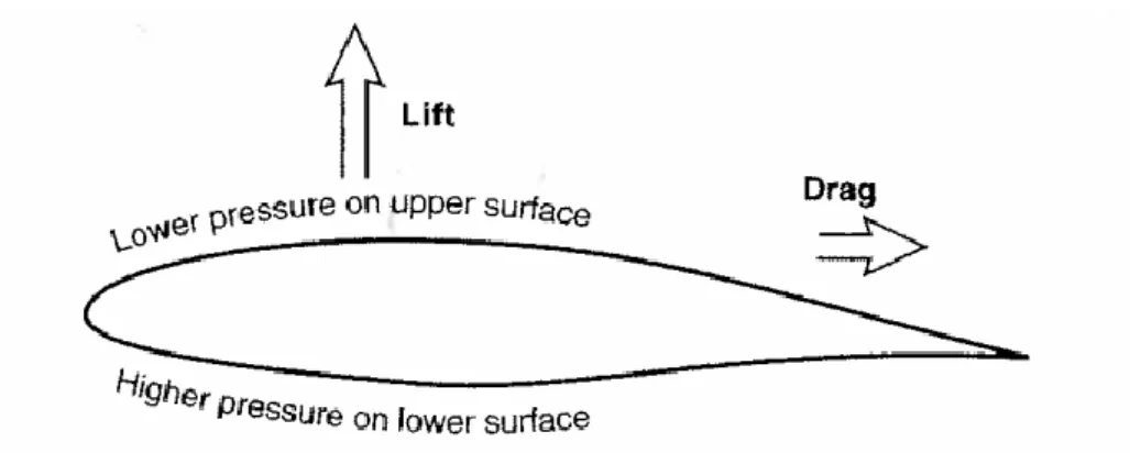 Figura 18 - A pressão mais baixa na parte superior do que na parte inferior deste perfil alar  resulta na força de sustentação (lift)