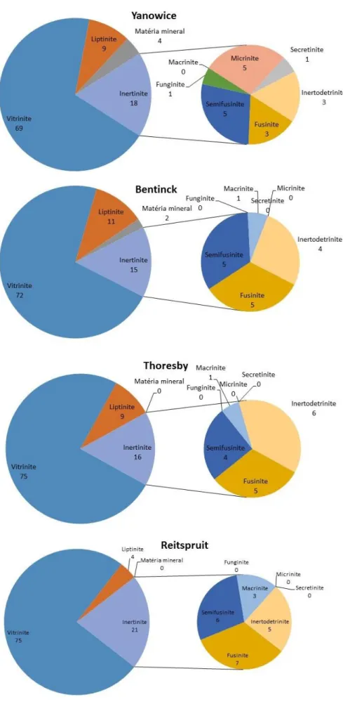 Figura 25 - Gráficos circulares representativos da composição petrográfica das diferentes amostras estudadas (vol %); 