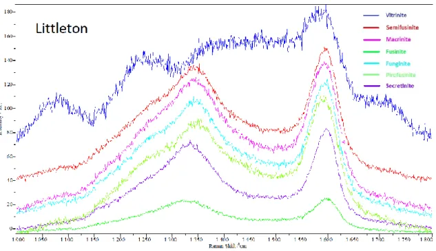 Figura 31 – Exemplos de espetros Raman obtidos nos diferentes macerais da amostra Littleton