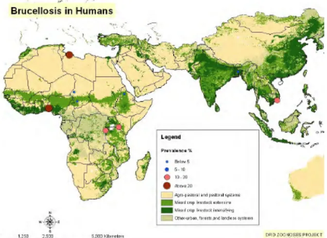 Figura 4 – Distribuição da prevalência de brucelose em humanos , África e Sul da Ásia (Department for International  Development UK 2012)