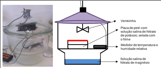 Figura 6 - Montagem experimental utilizada para medir a permeabilidade ao vapor de água.