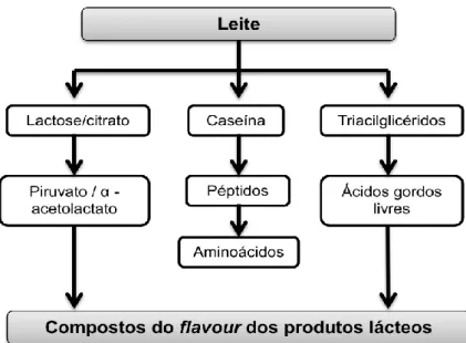 Figura 9 - Formação de aromas nos produtos lácteos  Fonte: adaptado de Nollet et al., 2010 