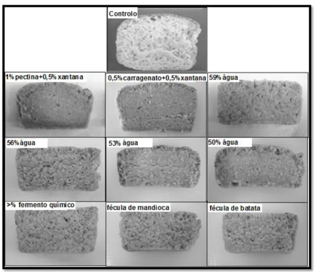 Figura 12 - Aparência da estrutura interna dos pães desenvolvidos para a receita base