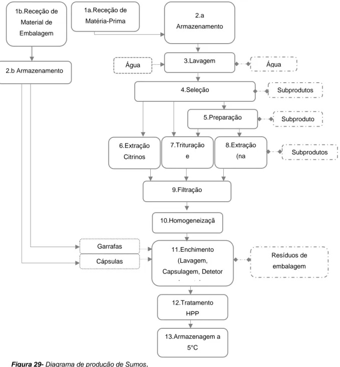 Figura 29- Diagrama de produção de Sumos . 