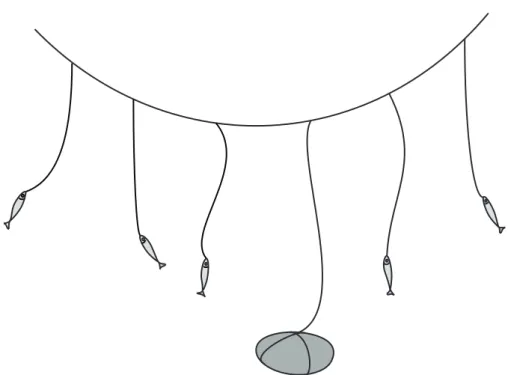 Fig. 4: Tala, pitas e peão do aparelho de espinhel simples.