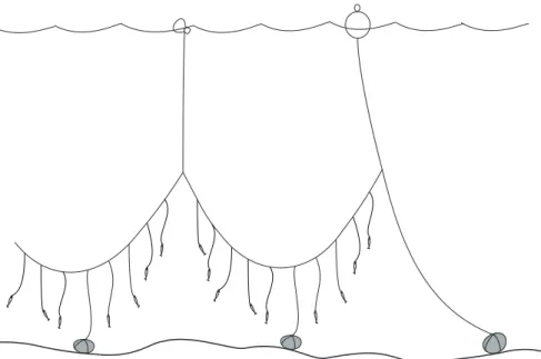 Fig. 5: Tralha do aparelho de espinhel simples: talas, calamentos, peões e cabaças.