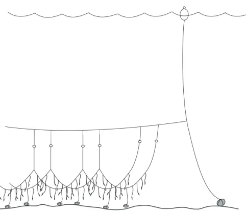 Fig. 7: Aparelho de espinhel duplo com retenida.