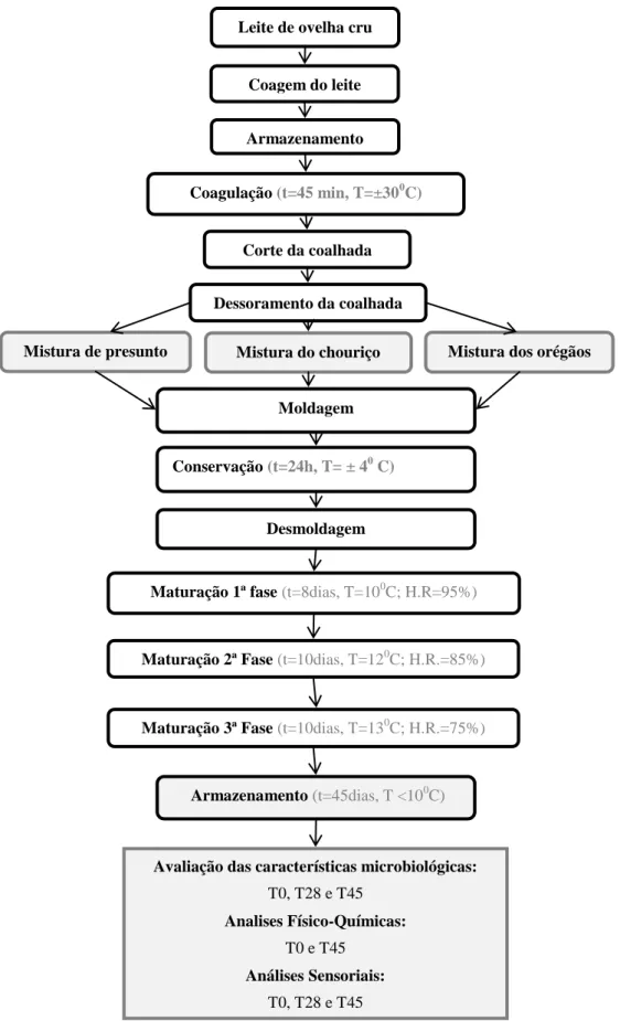Figura 2 - Diagrama de fabrico e plano de estudo 
