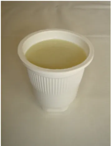 Figura 5 - Sopa de hortelã  
