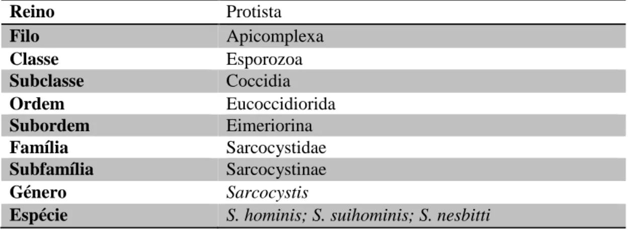 Tabela 1 - Classificação taxonómica dos parasitas do género Sarcocystis. 