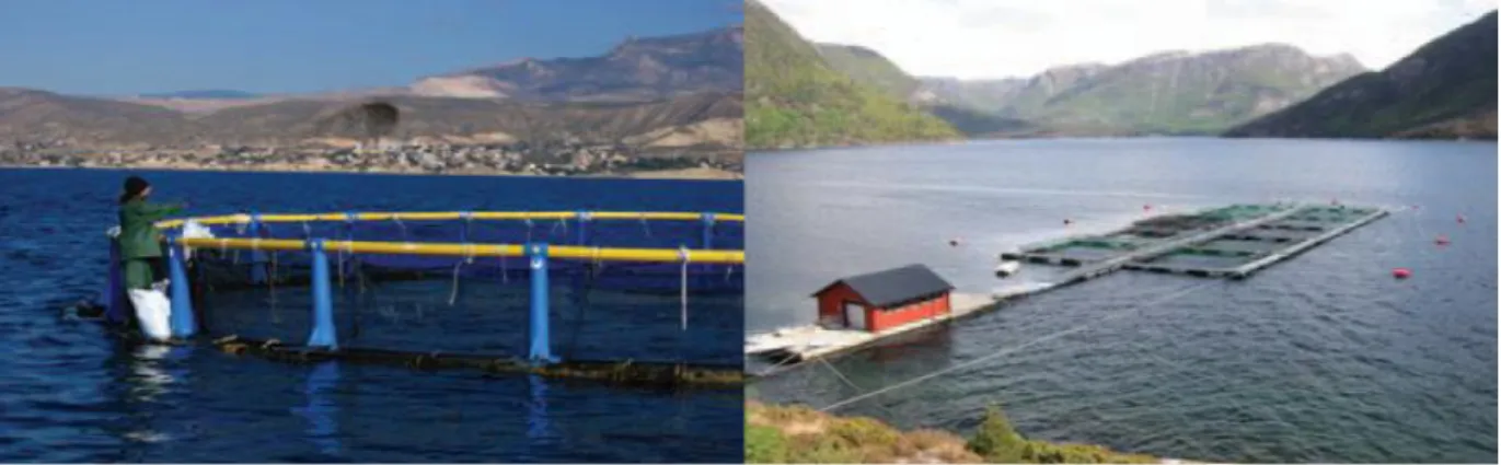 Figura 1.1 - Explorações de aquacultura em jaulas flutuantes. Do lado esquerdo uma exploração de  produção de dourada e robalo na costa mediterrânica de Espanha; Do lado direito uma exploração de 