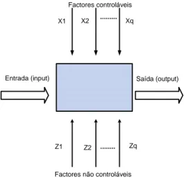 Figura 2. 3: Modelo de um processo de medição. Fonte: Adaptado de Montgomery (2001). 