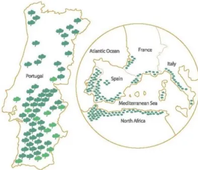 Figura  1.  Distribuição  do  montado  de  sobro  em  Portugal e  na bacia Mediterrânea (APCOR, 2014)