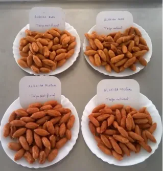 Figura 2 - Aspeto geral dos primeiros snacks de mistura e snacks de alheira produzidos 