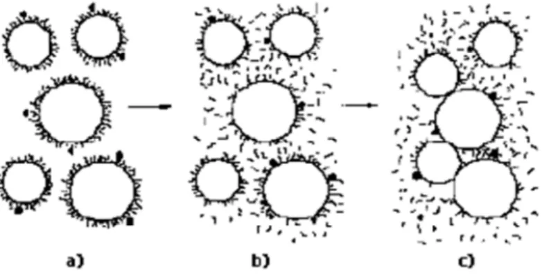 Figura 3 - Diagrama esquemático do ataque às micelas de caseína (Fonte: 