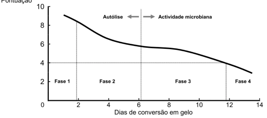 Figura 5. Evolução característica da análise sensorial de peixe magro conservado em gelo  (adaptado de Nunes, et al., 2007)  