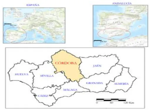 Figure 1- Location map of the province of Córdoba (Spain). 