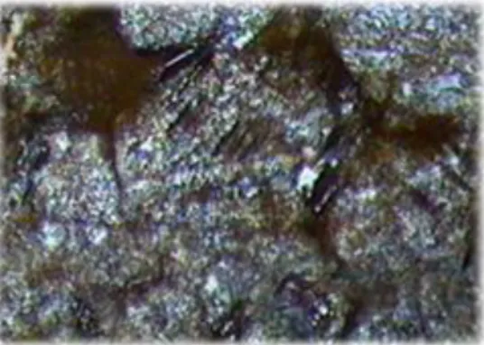 Figura 5 - Superfície de núcleo de recristalização do “Bege Bahia”, em placa com 10 anos de exposição ao  intemperismo