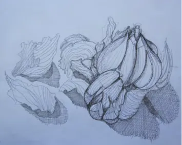 Fig. 32 – Desenho de uma cabeça de alhos (10º ano). Trabalho da aluna B. 