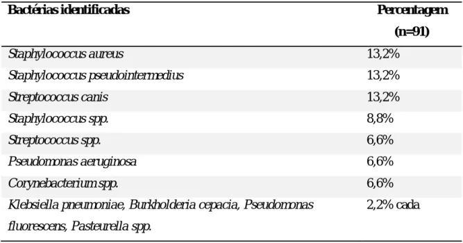 Tabela 1: Microrganismos identificados em canídeos com doença ocular externa (Adaptado de Subtil,  2010)