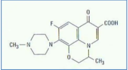 Figura 3: Estrutura química da levofloxacina (Adaptado de Chambers, 2004c) 