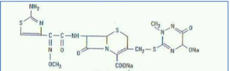 Figura 4: Estrutura química da ceftriaxona. (Adaptado de Chambers, 2004b) 