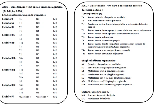 Figura  8:  Tabela  de  classificação  por  estádios,  modificado  de  AJCC  Cancer  Staging  Manual  2010