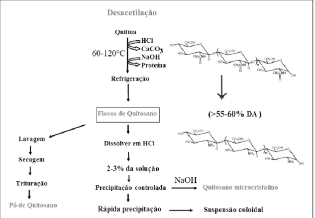 Figura 3: Representação esquemática do processo de desacetilação  Fonte: Barros, 2008 