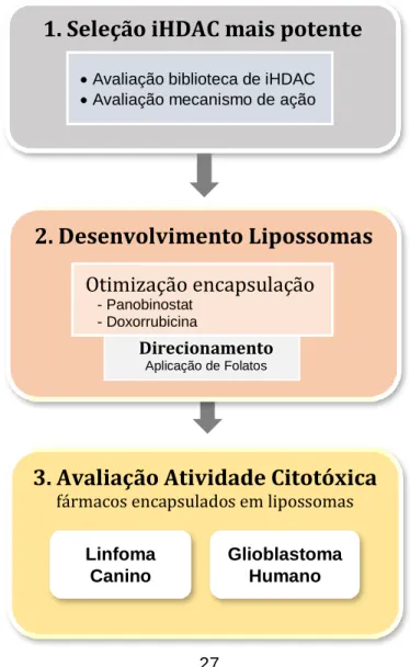 Figura 4 – Esquema representativo do desenho experimental. 