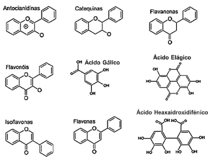 Figura 1  Estruturas químicas de alguns compostos fenólicos. 