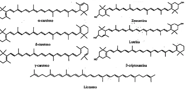 Figura 2  Estrutura química de alguns carotenóides.