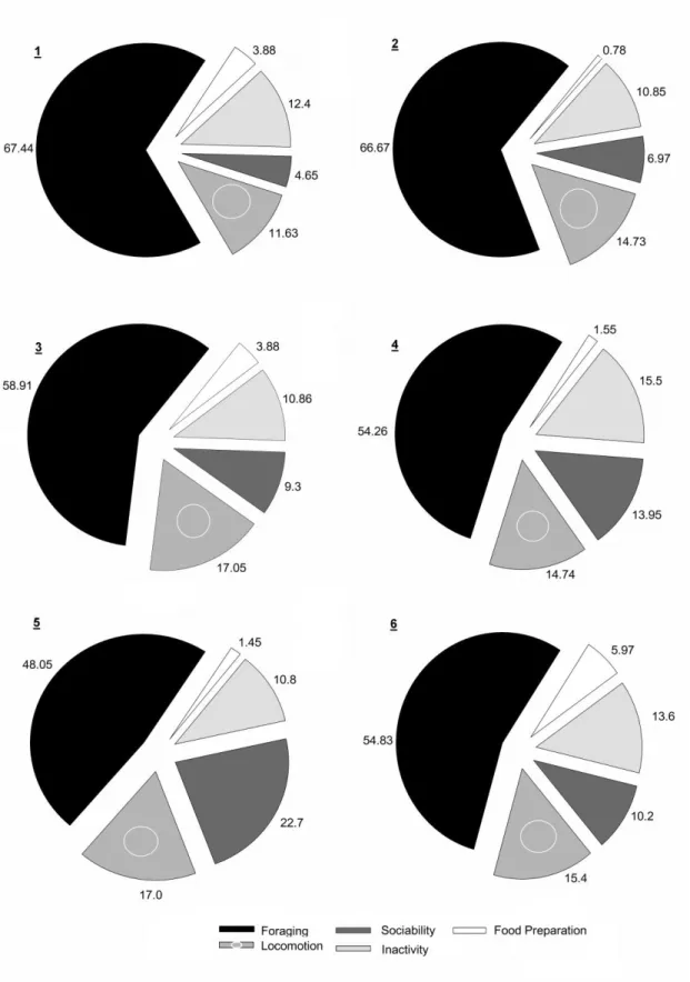 Figure 2: Activity budgets for each individual, animals from two to five represent the sub adult males, the  dominant male is the chart number one and the number six is the female