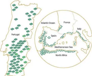 Figura 1 - Montado de Sobreiro em Portugal e em torno do Mediterrâneo  (APCOR) 