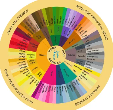 Figura 3 - Roda dos Aromas do Vinho (Cabral 2013)