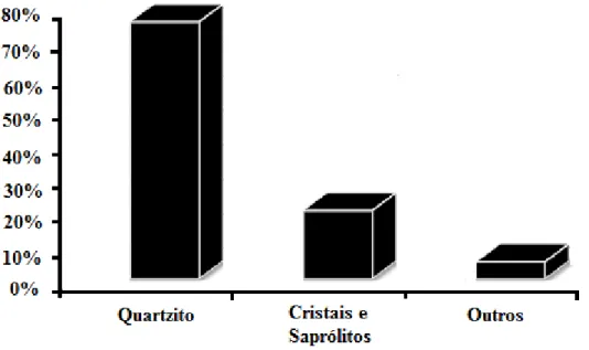 Figura 3: Gráfico da composição dos resíduos sólidos. 