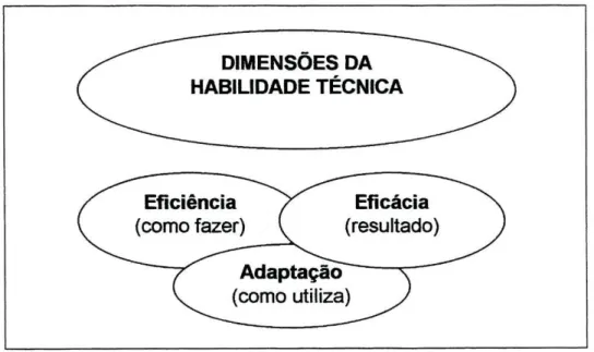 Figura 3 - Conceito multidimensional do domínio das habilidades técnicas (Rink, 1993) 